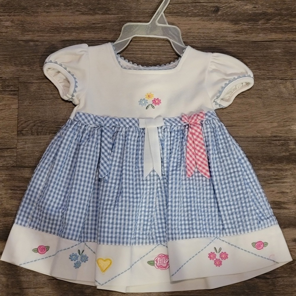 Youngland Infant Girls Blue Gingham Floral Embroidered Dress 12 Months 3148077